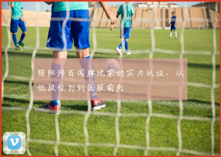 阴阳师百闻牌玩家的实力认证,从低段位打到国服前列