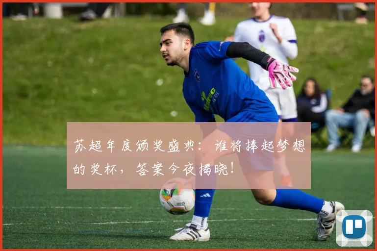 苏超年度颁奖盛典:谁将捧起梦想的奖杯,答案今夜揭晓!